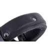Beyerdynamic DT 770 Pro 80 Ω Black Limited Edition - closed studio headphones