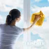 Glass cleaner FRISCHER FR00233_500 0.5 L with anti-vapour function