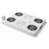 Digitus DN-19 FAN-4-SRV Product Grey