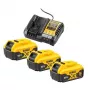 Battery & charger set DeWALT DCB1104P3-QW Lithium-Ion 5 Ah
