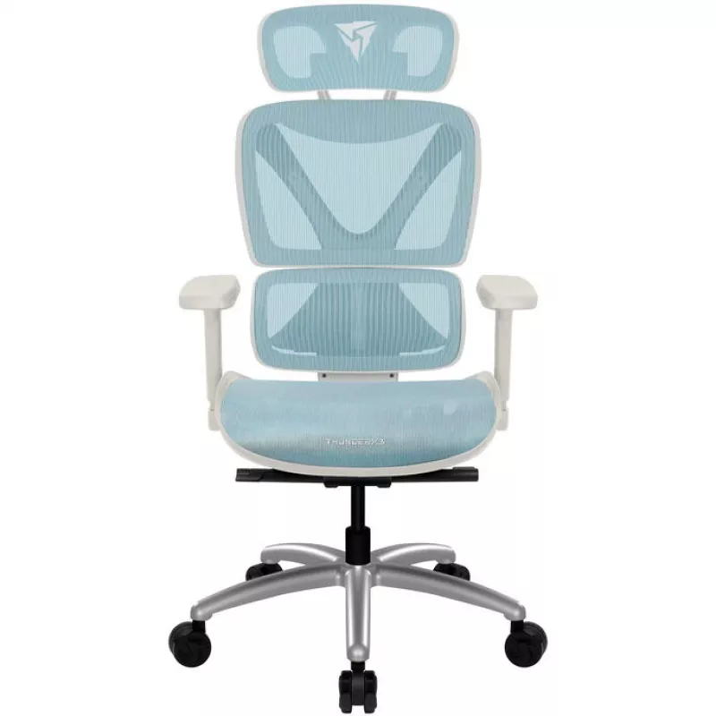Ergonomic Office Chair thunder x3 TEGC-3073102.B1 — White and Blue upholstery, adjustable armrests, high backrest