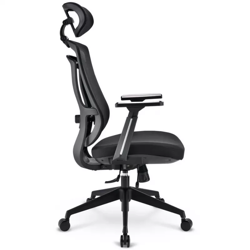 Office Chair Sharkoon OfficePal C20 Padded seat Meshed backrest Black