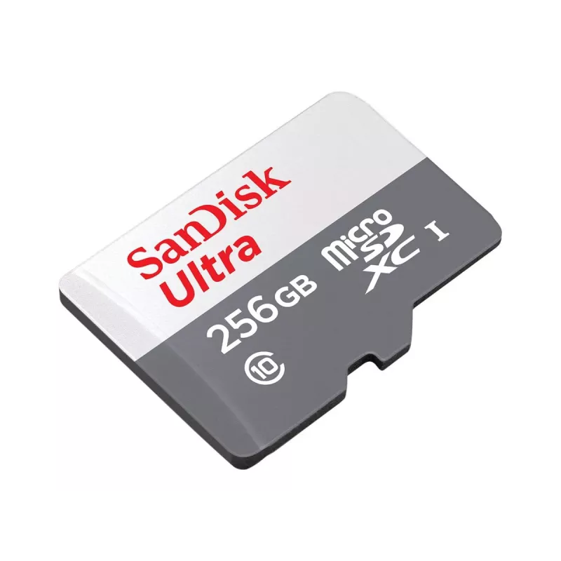 Flash memory SanDisk 256 GB MicroSDXC UHS-I SDSQUNR-256G-GN6TA