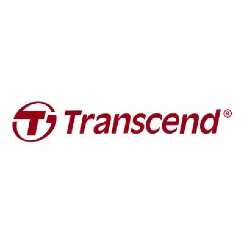USB flash drive Transcend 128 GB USB Type-C JetFlash 790C