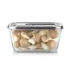 Caso Glass Vacuum Container with Plastic Lid | VacuBoxx Stainless Steel XL | Transparent