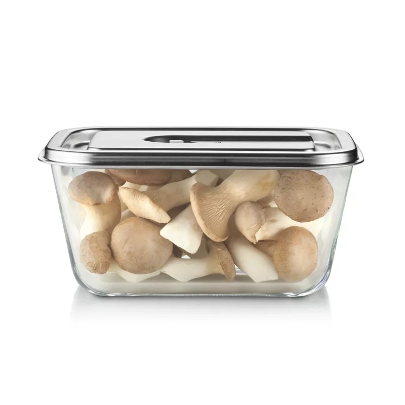 Caso Glass Vacuum Container with Plastic Lid | VacuBoxx Stainless Steel XL | Transparent
