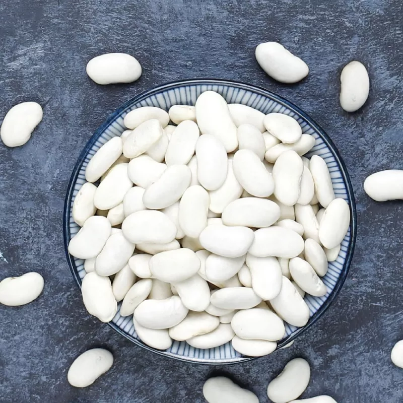 Seed packet Seklos LT PNOS — dry bean 'Igłomska' seeds, 50 g