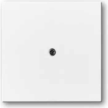 BUSCH JAEGER 1710-0-3173 - Weiß - konventionell - Busch-Jaeger - 63 mm - 63 mm - 1 Stück(e)
