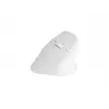 NATEC Crake 2 mouse Universal Right-hand RF Wireless + Bluetooth Optical 2400 DPI