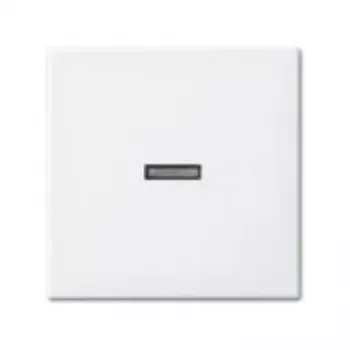 Busch-jaeger 2CKA001731A2009 Networking Device White