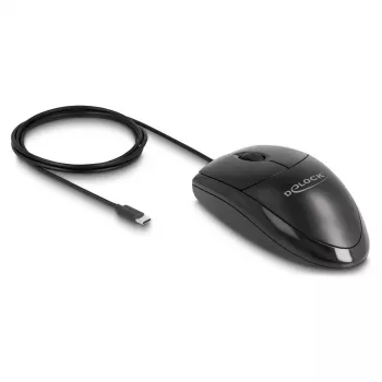 Mouse DeLOCK 12114 USB Type-C Optical Ambidextrous