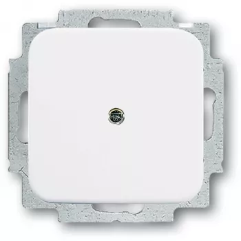 Electrical switch accessory Busch-Jaeger 2538-214 — white accessory for switches and frames