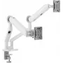 Monitor mount ALOGIC C32GMA2 for 32 inch screens