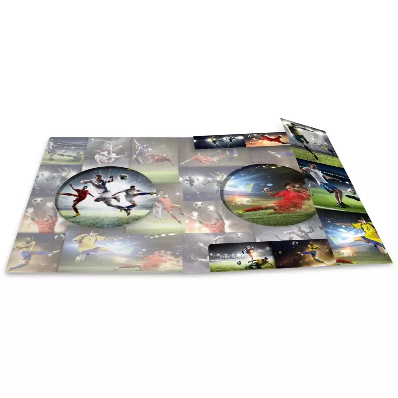 Ring binder A4 HERMA 19298