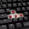Ducky Tinker 75 keyboard Gaming USB US English Black