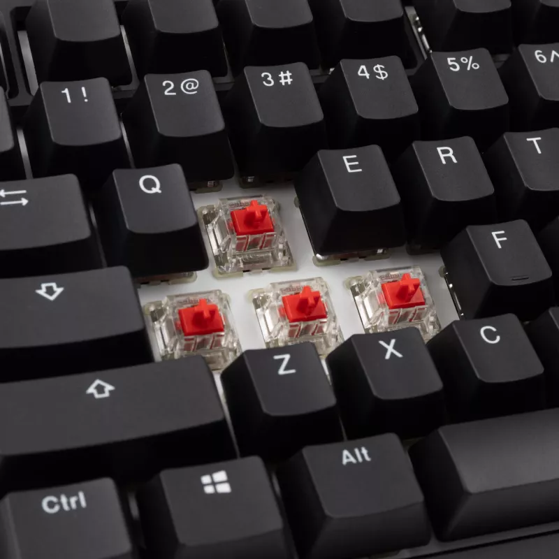 Ducky Tinker 75 keyboard Gaming USB US English Black
