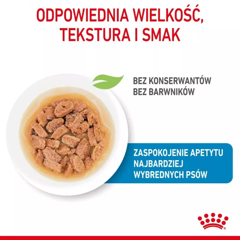 ROYAL CANIN SHN Mini Puppy in sauce - wet puppy food - 12X85g