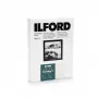 1x100 Ilford MG RC DL 44M 18x24