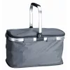 Thermal picnic basket PROMIS TL24S 24 L, gray