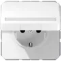 Outlet box JUNG CD 1520 BFNAKL WW Schuko Type F 16A 250V White
