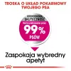 Dry dog food Royal Canin Mini Exigent 1 kg — small breed senior, 30% protein, 22% fat