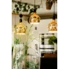 LED bulb Segula 55058 Warm white 1900 K 6 W E27