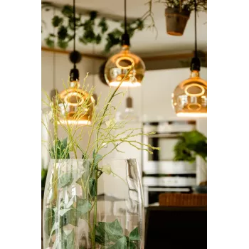 LED bulb Segula 55058 Warm white 1900 K 6 W E27