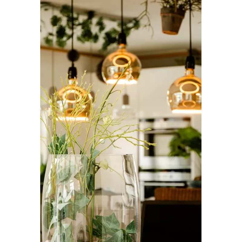 LED bulb Segula 55058 Warm white 1900 K 6 W E27