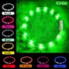 LED collar Anicoll Green for dogs and cats Model rechargeable lighting
