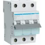 Hager MCN313. Rated Current: 13 A. Type: C-type, Module Quantity (max): 3 Module(e) (MCN313)