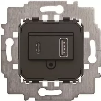 BJ 6475 U Power Supply - Insert USB A+C (2CKA006400A0398)
