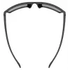 Safety glasses UVEX LGL 29 — model 53/0/947/2216/UNI, black frame