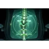 Razer Ergonomic Gaming Chair with Breathable Comfort | Iskur V2 NewGen | Black/Green