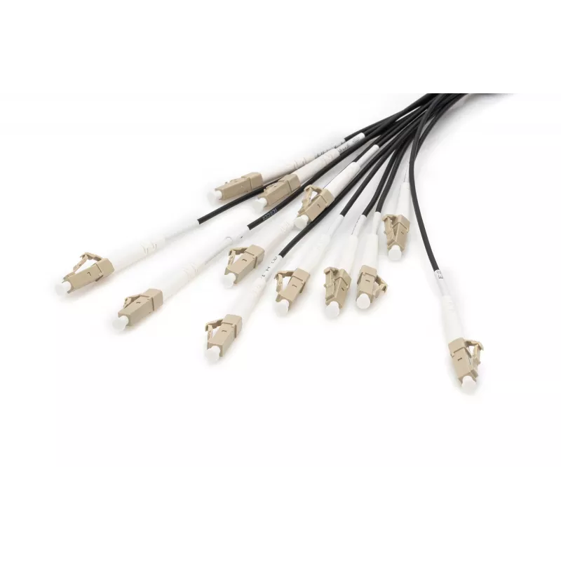 Breakout Cable Digitus DK-2433CU030BK-BBB 30m OM4 12 Fibers LC/UPC