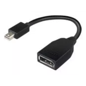 Lenovo 4X90L13971 DisplayPort cable Mini DisplayPort Black