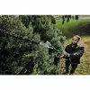 DeWALT Pole Hedge Attachment