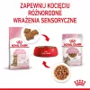 Wet cat food Royal Canin Sterilised Gravy, 12 x 85 g pouches — chicken, for spayed/neutered kittens, 11% protein, 80.5% moisture