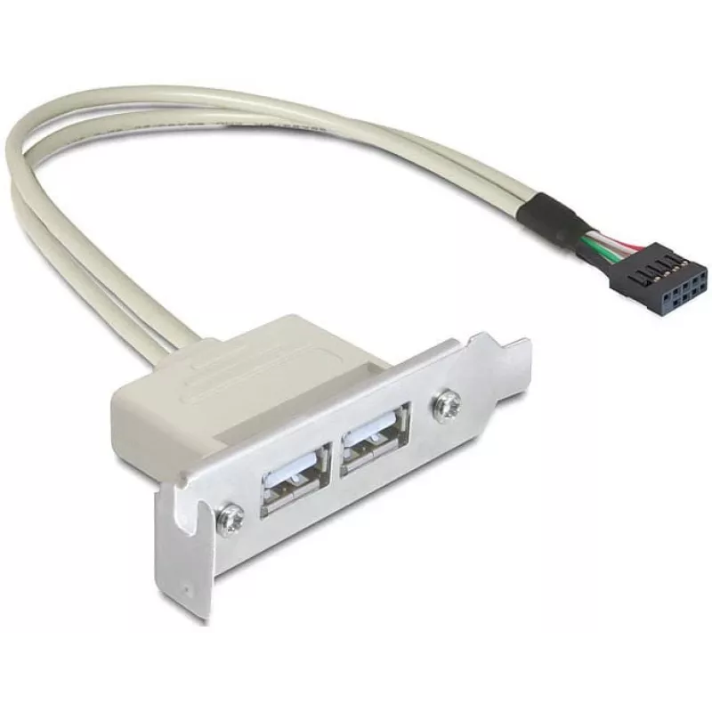 Slotblech USB 2.0 DeLOCK 0.5m