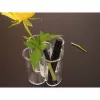 MAUL 1955105 pen holder acrylic Transparent (19551 05)