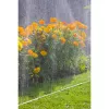 Sprinkler Hose Gardena 1995-20 7.5m