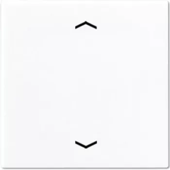 Jung A 590 P WW Electrical Switch (A590PWW)