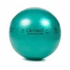 ABS rehabilitation ball with pump, 65 cm
