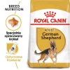Dry dog food Royal Canin German Shepherd Adult, 11 kg — large breed, poultry, 24% protein, 19% fat