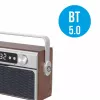 Portable radio MANTA RDI917PRO with Bluetooth and USB playback