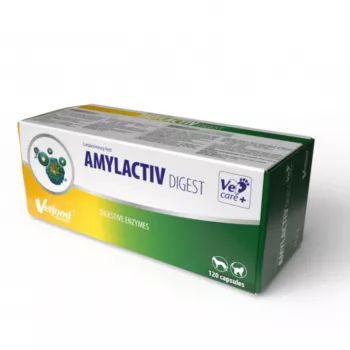 Digestive supplement capsules Vetfood Amylactiv for dogs and cats, 120 capsules, complementary feed, 100 g