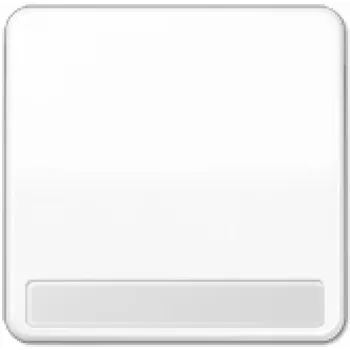 Flush-mount control module JUNG CD 590 NA WW — white, IP44, compatible with 4071.02 LED / 4071.01 LED