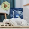 ADDVENA Power of Nature Adult Sensitive Small Lamb - dry dog food - 10kg