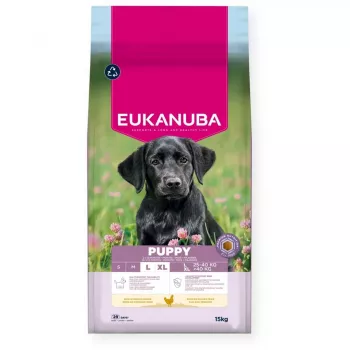 Dry dog food EUKANUBA Puppy Large Chicken 15 kg — puppy formula for large and giant breeds, 26.5% protein