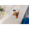 Scale Zelmer ZBS1010 White ZBS1010 Dog ZELMER