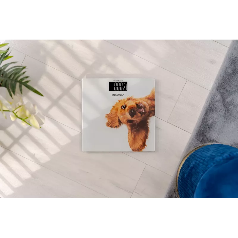 Scale Zelmer ZBS1010 White ZBS1010 Dog ZELMER